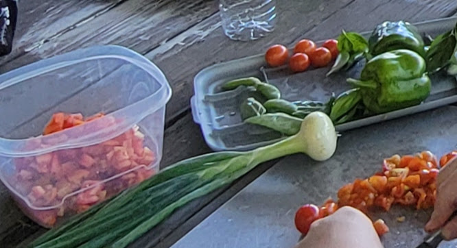 Fresh Veggies from the Farm